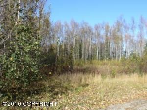 20700 Bill Stephens Drive, Chugiak, AK 99567