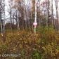 5046 N Skyvan Drive, Wasilla, AK 99654 ID:2629685