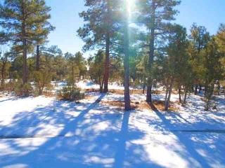 4190 W Sugar Pine Loop, Show Low, AZ 85901