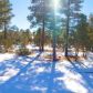 4190 W Sugar Pine Loop, Show Low, AZ 85901 ID:1321669