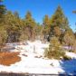 4190 W Sugar Pine Loop, Show Low, AZ 85901 ID:1321672