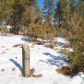 4190 W Sugar Pine Loop, Show Low, AZ 85901 ID:1321673