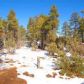 4190 W Sugar Pine Loop, Show Low, AZ 85901 ID:1321674