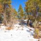 4190 W Sugar Pine Loop, Show Low, AZ 85901 ID:1321675