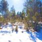 4190 W Sugar Pine Loop, Show Low, AZ 85901 ID:1321676