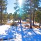 4190 W Sugar Pine Loop, Show Low, AZ 85901 ID:1321677