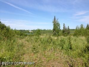 1164 N Beaver Lake Road, Big Lake, AK 99652