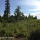 1164 N Beaver Lake Road, Big Lake, AK 99652 ID:2985093