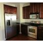 Unit 252 - 252 Autumn Place Way, Norcross, GA 30071 ID:5368206