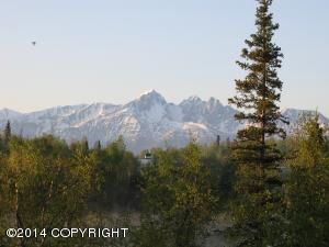 4450 E Birch Drive, Wasilla, AK 99654