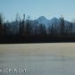 4450 E Birch Drive, Wasilla, AK 99654 ID:5657870