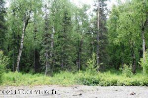 10480 E Snowgoose Circle, Wasilla, AK 99654