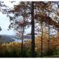 3 Acres Mundell Rd., Eureka Springs, AR 72631 ID:1168088