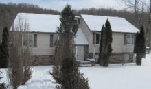 308 Diane Dr Rural Valley, PA 16249