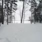 W 5212 Bay Road, Tomahawk, WI 54487 ID:5640184