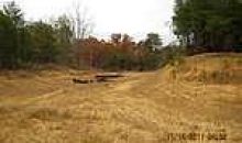 Braswell Road, 64.75 Acres Rockmart, GA 30153