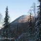 B1 L14 DIANA Circle, Chugiak, AK 99567 ID:5441486