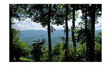 Unit 0 - 1033 Shiloh Overlook Hayesville, NC 28904