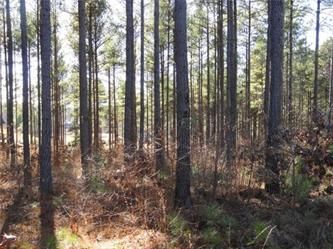 Lot 215 Section E6 Reserve At Apn#, Sunset, SC 29685