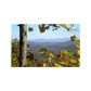 146 Unaka Trail, Mineral Bluff, GA 30559 ID:3436150