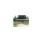 2175 County Rd 41, Ranburne, AL 36273 ID:1508972