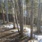 18306 Hidden Falls Avenue, Eagle River, AK 99577 ID:5532270