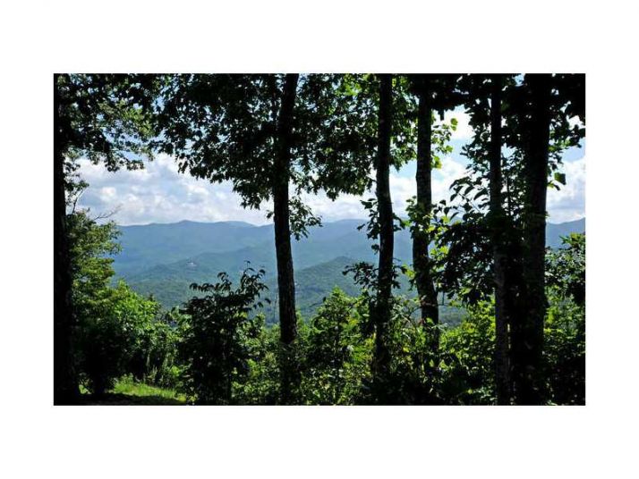 Unit 0 - 1033 Shiloh Overlook, Hayesville, NC 28904