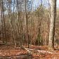 4 Redwood Lane, Ellijay, GA 30540 ID:3506664