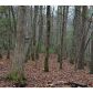 2515 Old Parker Place Road, Ellijay, GA 30536 ID:3506691