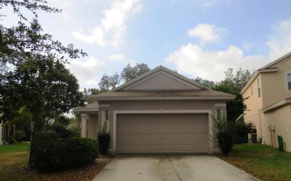 6138 Skylarcrest Drive, Lithia, FL 33547