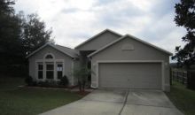 916 Bristle Cone Ct Clermont, FL 34715