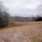 61 AC. JAMES B REEDER ROAD, Allons, TN 38541 ID:4057265