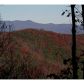 29 Wohali Knob Trail, Ellijay, GA 30540 ID:3007445