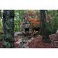 29 Wohali Knob Trail, Ellijay, GA 30540 ID:3007449