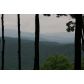 29 Wohali Knob Trail, Ellijay, GA 30540 ID:3007450