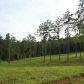 0 Wahoo Overlook Trail, Newnan, GA 30263 ID:3442490