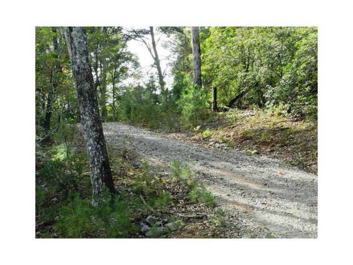 0 Lot 6 Robert Drive, Ellijay, GA 30540