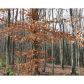 249 Owl Ridge Way, Jasper, GA 30143 ID:2465173