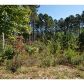 0 Cherry Grove Road, Ball Ground, GA 30107 ID:2451707