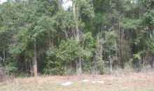 Lot 3 NE 51st Place Williston, FL 32696