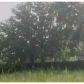 19119 GERACI RD, Lutz, FL 33558 ID:1018507