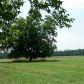 2091 Highway 11 South 77 Acres, Mansfield, GA 30055 ID:2627398