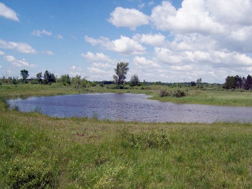 TBD Clarabella (aka county line), Farwell, MI 48622