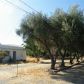 28390 Road 210, Exeter, CA 93221 ID:4393929