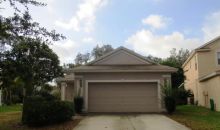 6138 Skylarcrest Drive Lithia, FL 33547