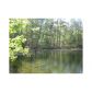 0 Mullinax Road, Taylorsville, GA 30178 ID:2548935