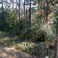 County Road 401, Elba, AL 36323 ID:4924793