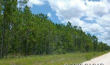 00 NE 24th Loop High Springs, FL 32643