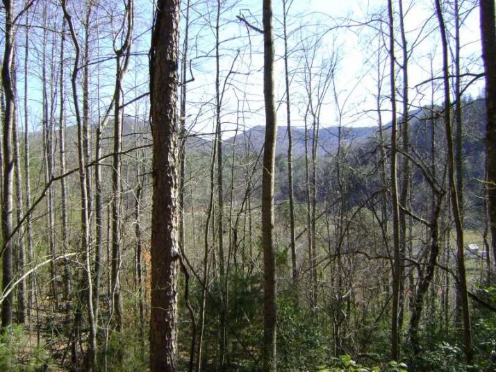 119 119 133 A, Blairsville, GA 30512