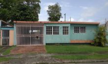 41 Ducal St Ext El Carolina, PR 00982